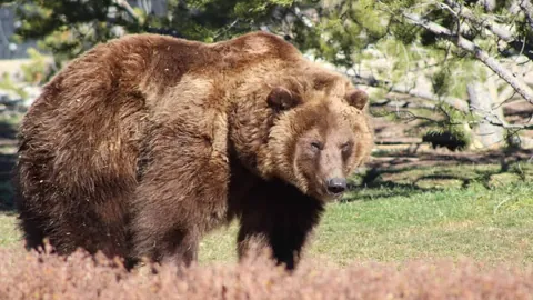 基恩高度评价C罗：堪称史上最睿智球员，天赋横溢无人能敌